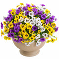 Viole del Pensiero Artificiali in Vaso Decorativo Colori Giallo Viola Bianco